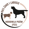 Logo PATI-ŻAKO I LABUSIE (FCI) 